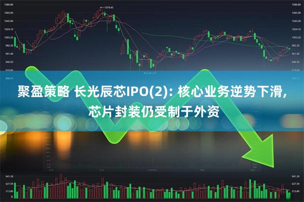 聚盈策略 长光辰芯IPO(2): 核心业务逆势下滑, 芯片封装仍受制于外资
